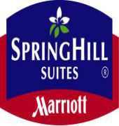 Springhill By Marriott Charles Hotel 3*